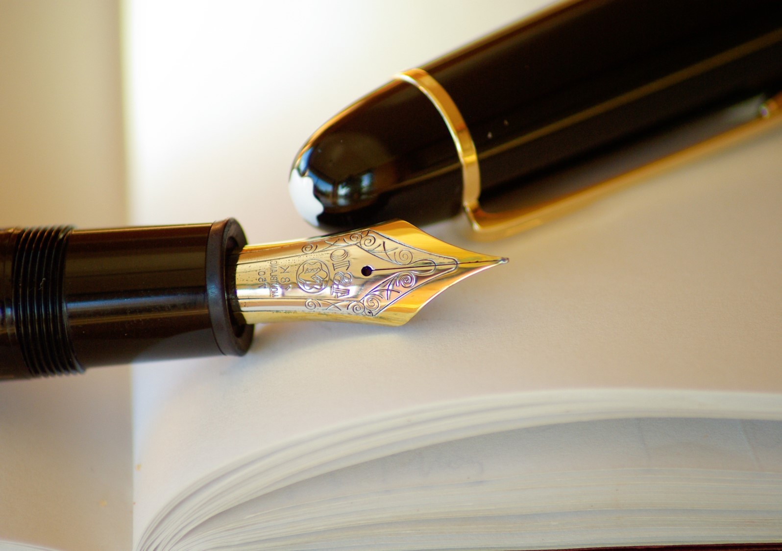 Fountain pen photo